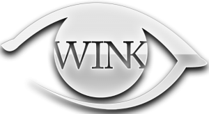 Winkshop inc. logo